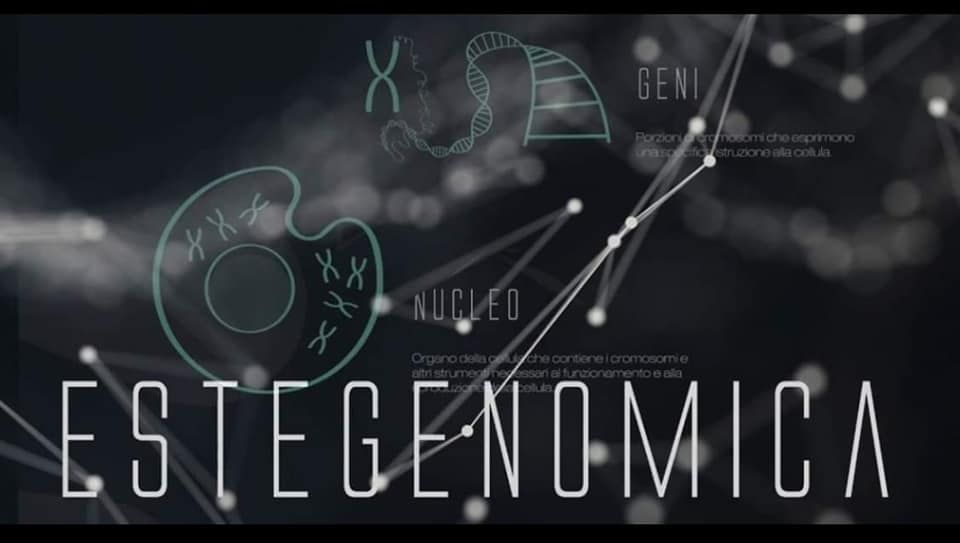 Pannello descrittivo dell'estegenomica sul DNA