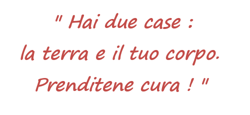Citazione: Hai due case: la terra e il tuo corpo. Prenditene cura! 
